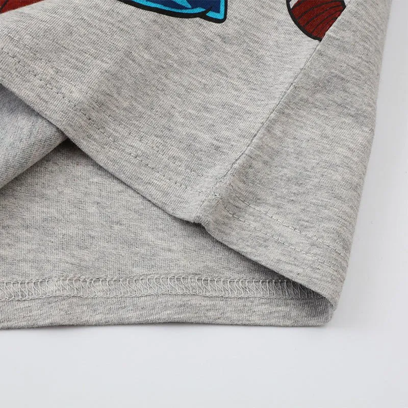 Toddler/Kid Boy's Gray Long Sleeve Spiderman T-shirt